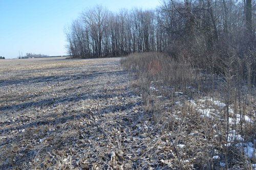 Property photo 21 - East Allen County - 55 Acre Land Auction
